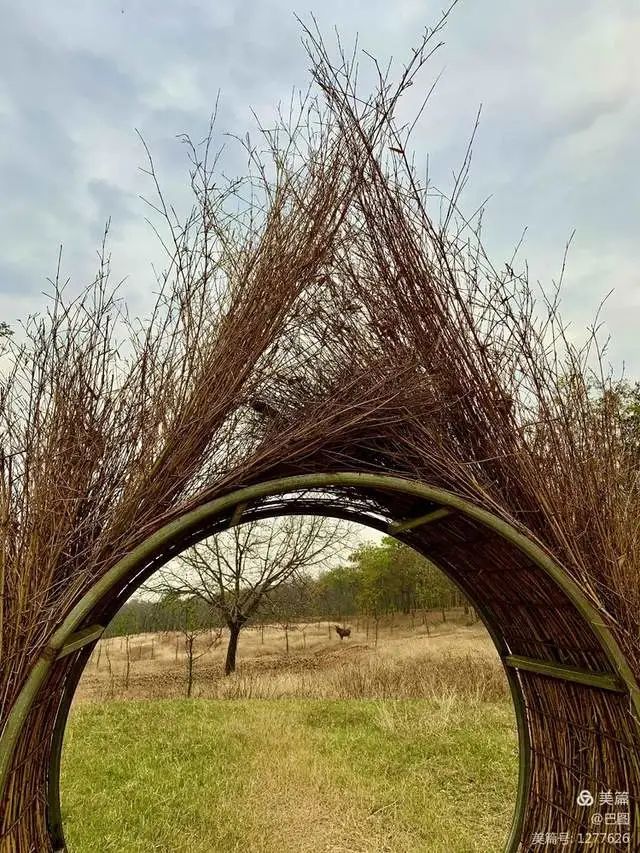 九游网页版官网-特色山地射箭比赛，乡土文化的运动展现